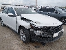 1HGCY1F22PA****** Salvamento y Reparables 2023 Honda Accord en Estado de Texas