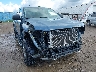 1FTER4HP9RL****** Salvage and Repairable 2024 Ford Ranger in Montana State