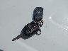 1FT8W3DT1FE****** Salvage 2015 Ford F-350 in Kansas State