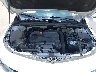 1G1ZD5ST4MF****** Reparables 2021 Chevrolet Malibu en Houston North