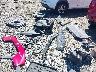 JTMABACA5RA****** Usados y Reparables 2024 Toyota BZ4X en Estado de Virginia