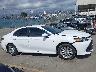 4T1C11AK8LU****** Destrozados 2020 Toyota Camry en Estado de California