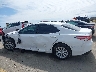 4T1C11AK8LU****** Usados 2020 Toyota Camry en Estado de California