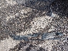 1FMCU9H67NU****** Wrecked 2022 Ford Escape in Colorado State