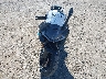 LCEPEVLP3S6****** Used and Repairable 2025 CF Moto 675SS in Wyoming State