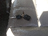 1FTWX3AR9AE****** Salvage 2010 Ford F-350 in Rhode Island State