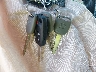5FNRL5H40BB****** Salvage 2011 Honda Odyssey in Arkansas State