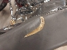 JS1SK44A1J2****** Wrecked 2018 Suzuki DR-Z400SML8