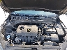 3KPF24AD1LE****** Repairable 2020 Kia Forte in Austin North
