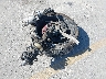 1G1FB1RS9L0****** Wrecked 2020 Chevrolet Camaro in Texas State