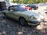 ZARBA5412E1****** Salvage and Wrecked 1984 Alfa Romeo Spider in Central New Jersey