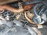 4XARRY99XR8****** Wrecked 2024 Polaris Ranger in Little Rock