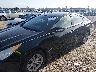 5NPEB4AC9EH****** Salvamento y Reparables 2014 Hyundai Sonata en Estado de Luisiana