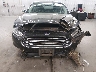 3FA6P0H91DR****** Salvamento y Reparables 2013 Ford Fusion en Estado de Minnesota