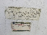 5UZBE10169D****** Used 1999 Diamond Cargo Diamond Cargo in Charleston