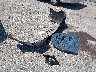 1N4BL4DVXPN****** Destrozados 2023 Nissan Altima en Estado de Texas