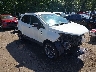MAJ6S3JL8LC****** Salvamento y Destrozados 2020 Ford Ecosport en Metro DC