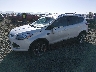 1FMCU9J94DU****** Usados y Reparables 2013 Ford Escape en Eugene