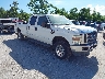 1FTSW21R28E****** Salvamento y Destrozados 2008 Ford F-250 en Louisville Shepherdsville