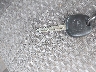 JTEBU14R760****** Salvage 2006 Toyota 4Runner in Pennsylvania State
