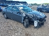KMHLL4DG2SU****** Salvage and Wrecked 2025 Hyundai Elantra in Philadelphia