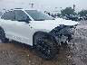 3VVGR7RM2SM****** Used and Repairable 2025 Volkswagen Tiguan in IAA - Buffalo