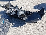 KMHLM4DG5RU****** Wrecked 2024 Hyundai Elantra in Texas State