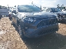 2T3W1RFV8KW****** Salvamento y Destrozados 2019 Toyota RAV4 en Oklahoma City