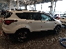 1FMCU0HD0KU****** Usados 2019 Ford Escape en Estado de Illinois