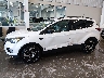 1FMCU0HD0KU****** Salvamento y Reparables 2019 Ford Escape en Estado de Illinois