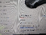 7SAYGDEF1RA****** Salvage 2024 Tesla Model Y in Electric Vehicle Auctions