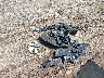 5FNYF6H54HB****** Wrecked 2017 Honda Pilot in Minnesota State