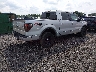 1FTFW1ET8DK****** Salvamento y Destrozados 2013 Ford F-150 en Estado de Carolina del Sur