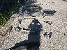 5N1AZ2MG1HN****** Destrozados 2017 Nissan Murano en Estado de Kansas