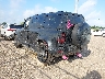 SALE27EU9S2****** Salvamento y Reparables 2025 Land Rover Defender en McAllen