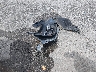 1N4AL3AP0DC****** Salvage 2013 Nissan Altima in Louisiana State