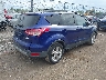 1FMCU0G93DU****** Salvage and Wrecked 2013 Ford Escape in Ohio State