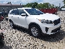 5XYPG4A34KG****** Salvage and Wrecked 2019 Kia Sorento in Shady Spring