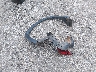 JM3KE2CY7G0****** Wrecked 2016 Mazda CX-5 in Kansas State
