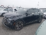 5XYK33DF3RG****** Salvage 2024 Kia Sportage