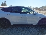 7SAYGAEE5PF****** Repairable 2023 Tesla Model Y in Washington State