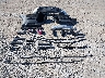7SAYGAEE5PF****** Wrecked 2023 Tesla Model Y in Washington State