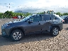 JTMK1RFV2PD****** Salvage and Repairable 2023 Toyota RAV4 in Hawaii State
