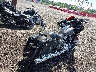 1HD1KTP18PB****** Salvamento y Reparables 2023 Harley-Davidson Road Glide Special en Rec Rides Online Exclusive