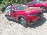 7MMVABEM3SN****** Salvage and Wrecked 2025 Mazda CX-50 in Taunton