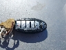 3N1AB8CV6PY****** Salvage 2023 Nissan Sentra in Texas State