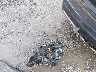 1FM5K7D89GG****** Wrecked 2016 Ford Explorer in Georgia State