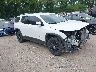 1GKKNULS7KZ****** Salvage and Wrecked 2019 GMC Acadia in Indianapolis