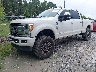 1FT7W2BTXKE****** Usados y Reparables 2019 Ford F-250 en Gulf Coast