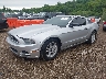 1ZVBP8AM9E5****** Usados y Reparables 2014 Ford Mustang en Chicago North